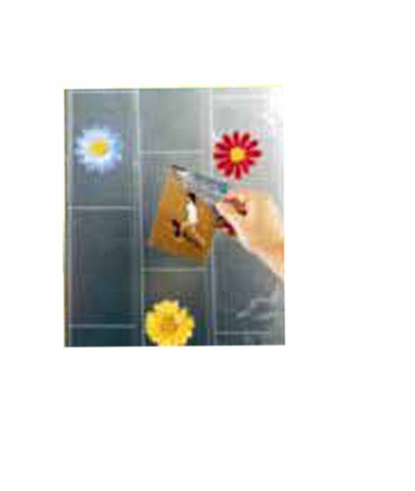 Deurgordijn Decor Memory Transparant 90 x 200 cm Deurgordijn Decor Memory Transparant 90 x 200 cm