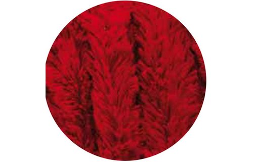 Vliegengordijn lichte en zachte kattenstaart Rood 90x200 cm.