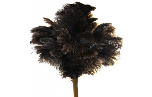 Struisvogel Plumeau extra dik en zachte veren met lange houten steel