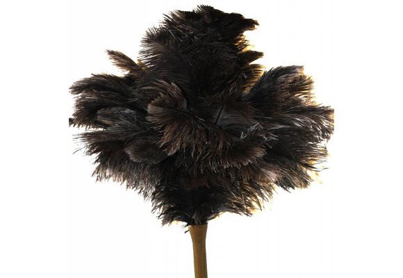 Struisvogel Plumeau extra dik