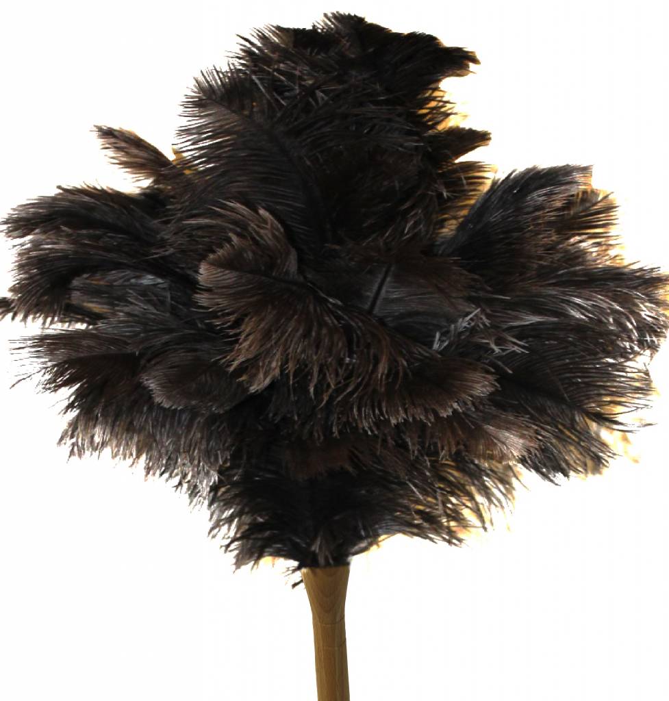 Struisvogel Plumeau extra dik en zachte veren met lange houten steel