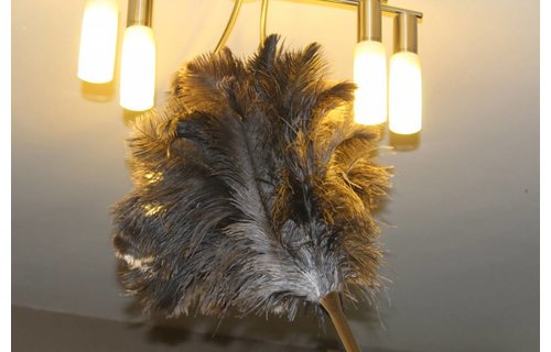 Struisvogel Plumeau extra dik en zachte veren met lange houten steel