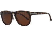 Polaroid Wayfarer zonnebril leopard