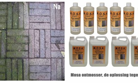 Mosa ontmosser, de oplossing tegen mos