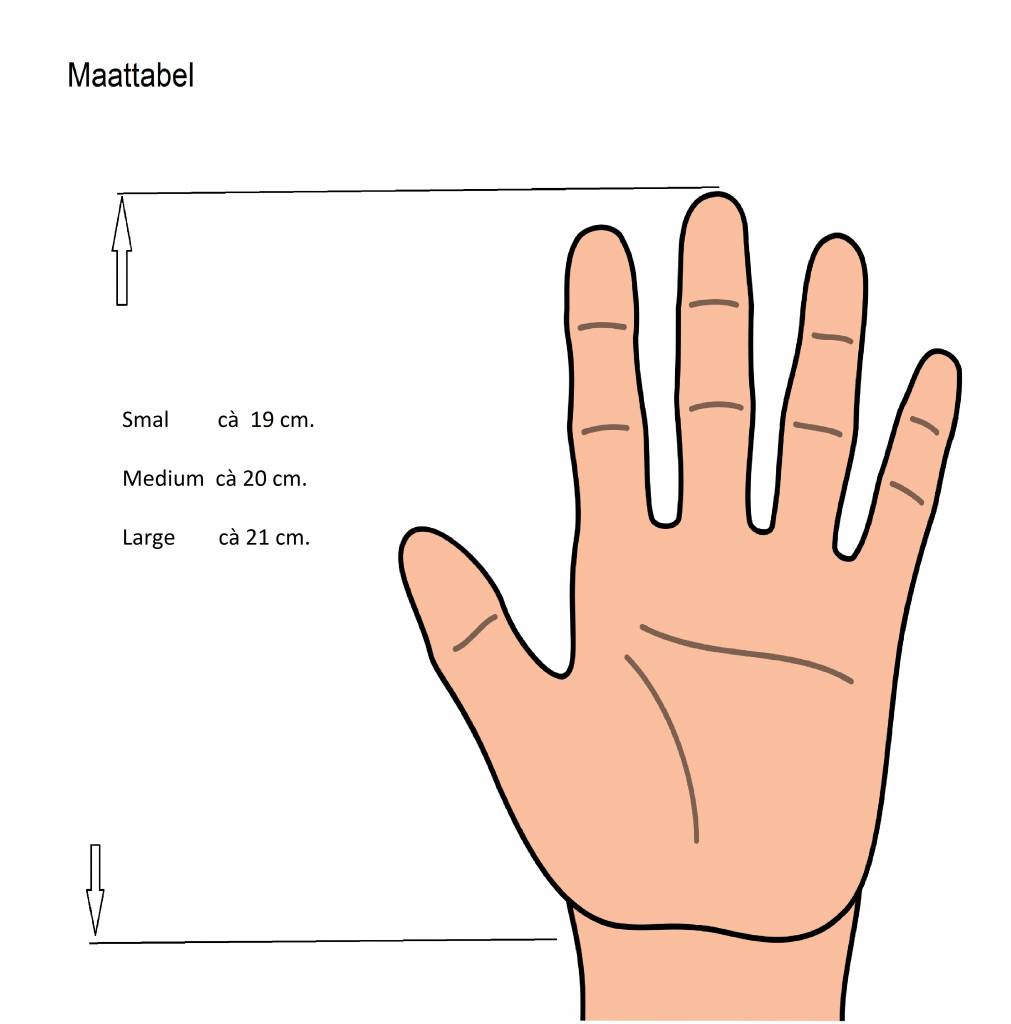 Ski handschoenen Performance grijs/zwart Ski handschoenen Performance grijs/zwart