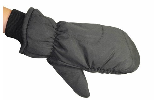 Ski Wanten met boord Zwart