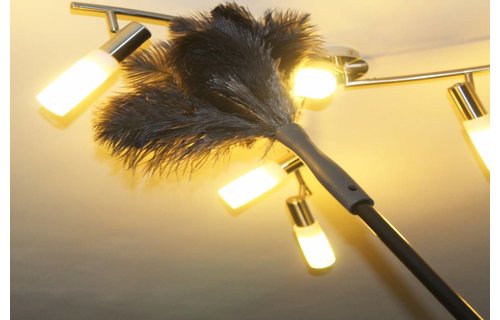 Struisvogel Plumeau 2 kransen met telescoopsteel