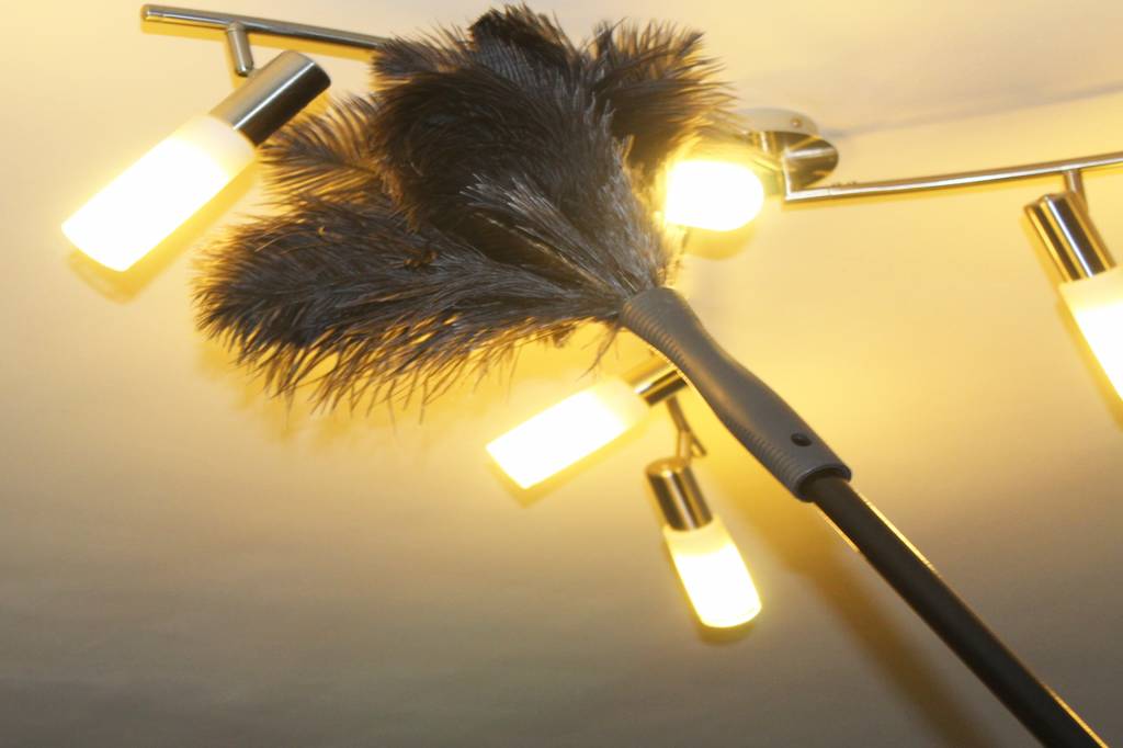 Struisvogel Plumeau 2 kransen met telescoopsteel