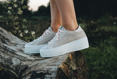 Schoene | Shop tercesa.com