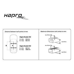 Hapro Dakkoffer Roady 350 silber/grau