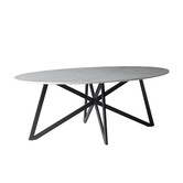 Marble - Table de salle à manger - marbre - acier revêtu - 200cm - blanc - ovale