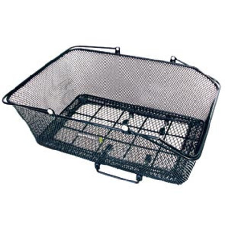 Basil mand California zw Basil mand California zw