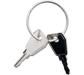 Thule Yepp Nexxt sleutel P0 2 stuks Thule Yepp Nexxt sleutel P0 2 stuks