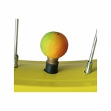 Bike Belle Ventieldoppen Set Appels Bike Belle Ventieldoppen Set Appels