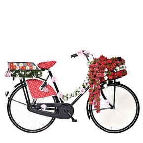 Pimp Je Fiets Pimp Je Fiets