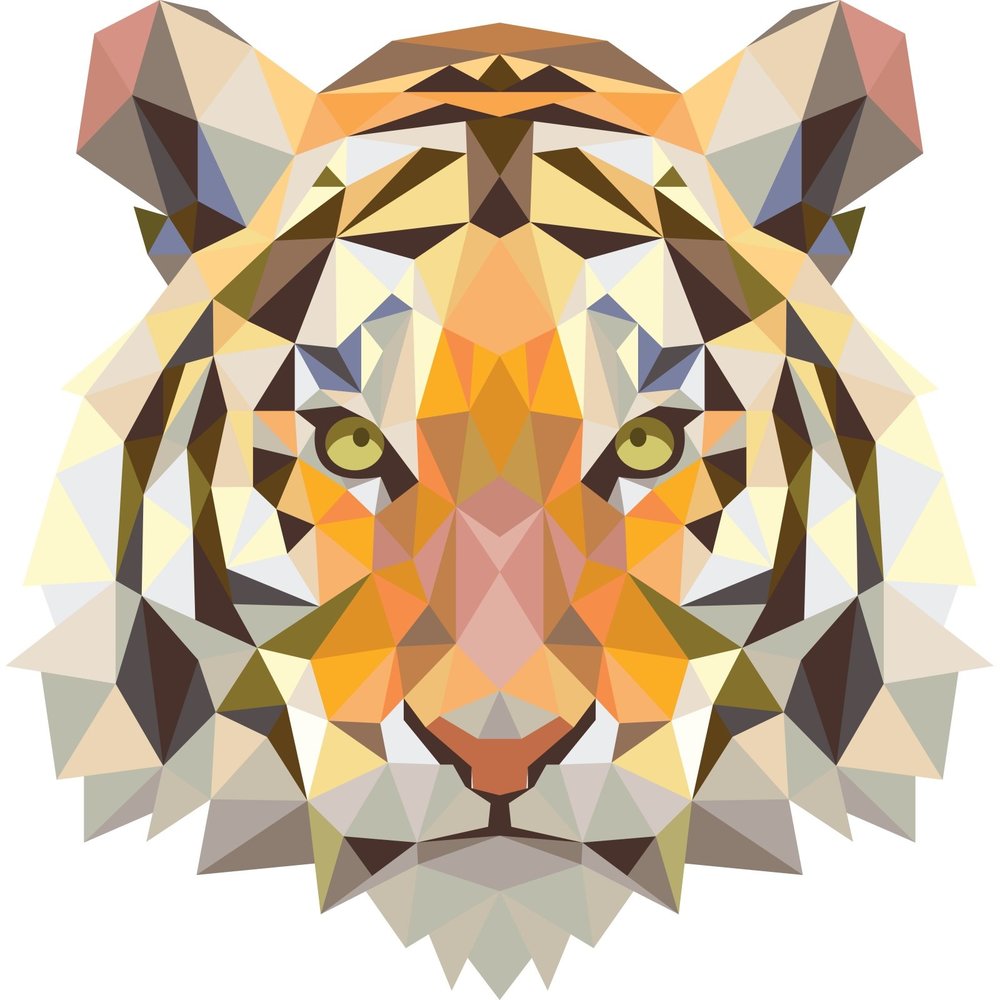 Beck Dubbele Fietstas Small Tiger Beck Dubbele Fietstas Small Tiger