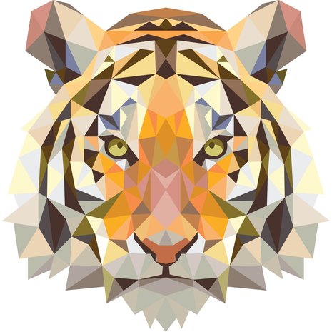 Beck Dubbele Fietstas Small Tiger Beck Dubbele Fietstas Small Tiger