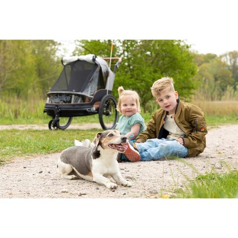Bobike Trailer 2 in 1 Fietskar Grijs Bobike Trailer 2 in 1 Fietskar Grijs