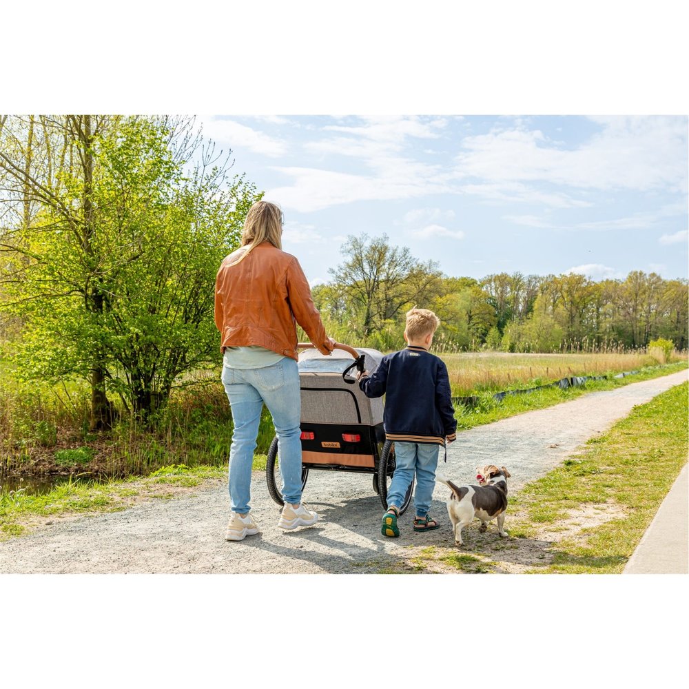 Bobike Trailer 2 in 1 Fietskar Grijs Bobike Trailer 2 in 1 Fietskar Grijs