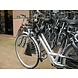 Buiszadel Zadel op Stang voor een Damesfiets met aluminium dubbel frame (Buiszadel) Buiszadel Zadel op Stang voor een Damesfiets met aluminium dubbel frame (Buiszadel)