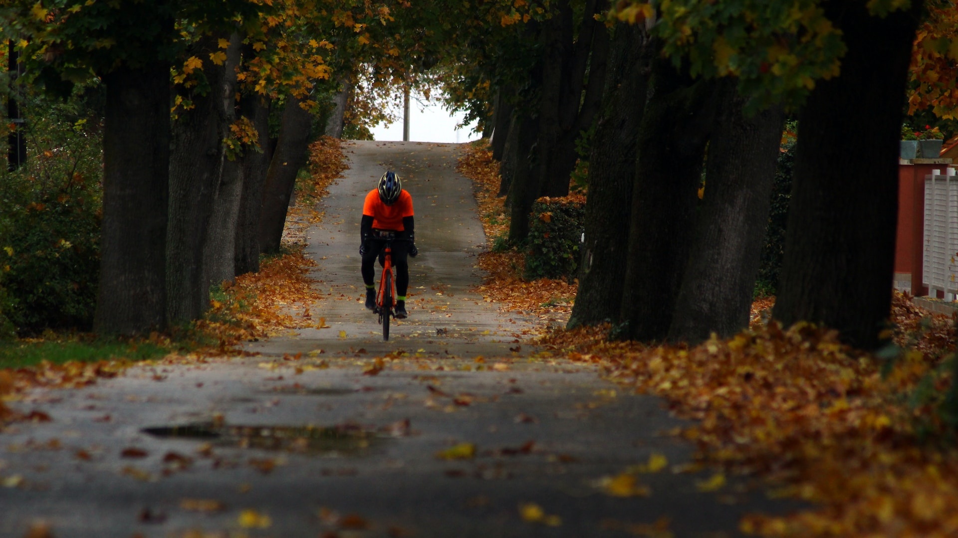 Veilig de weg op in herfst: Tips om grip te behouden op gladde wegen door bladeren Veilig de weg op in herfst: Tips om grip te behouden op gladde wegen door bladeren