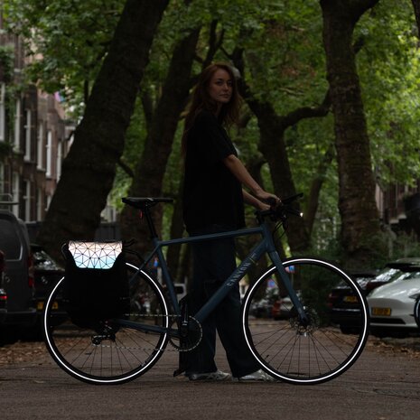 Beck Ultra Dubbele Fietstassen  Grijs Beck Ultra Dubbele Fietstassen  Grijs