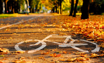 Fietsen in de herfst met kinderen: veilig en zichtbaar onderweg