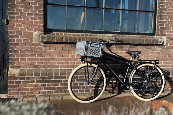 Fast Rider Kunststof Fietskrat Medium 25 liter Grijs Fast Rider Kunststof Fietskrat Medium 25 liter Grijs