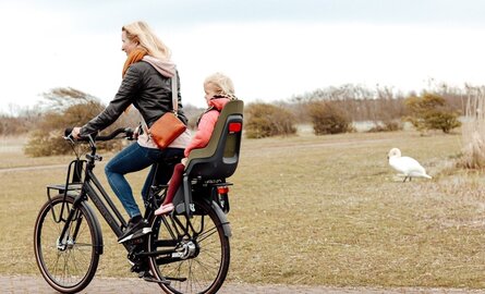Welke zadel op stang voor de Dolce Vita fiets