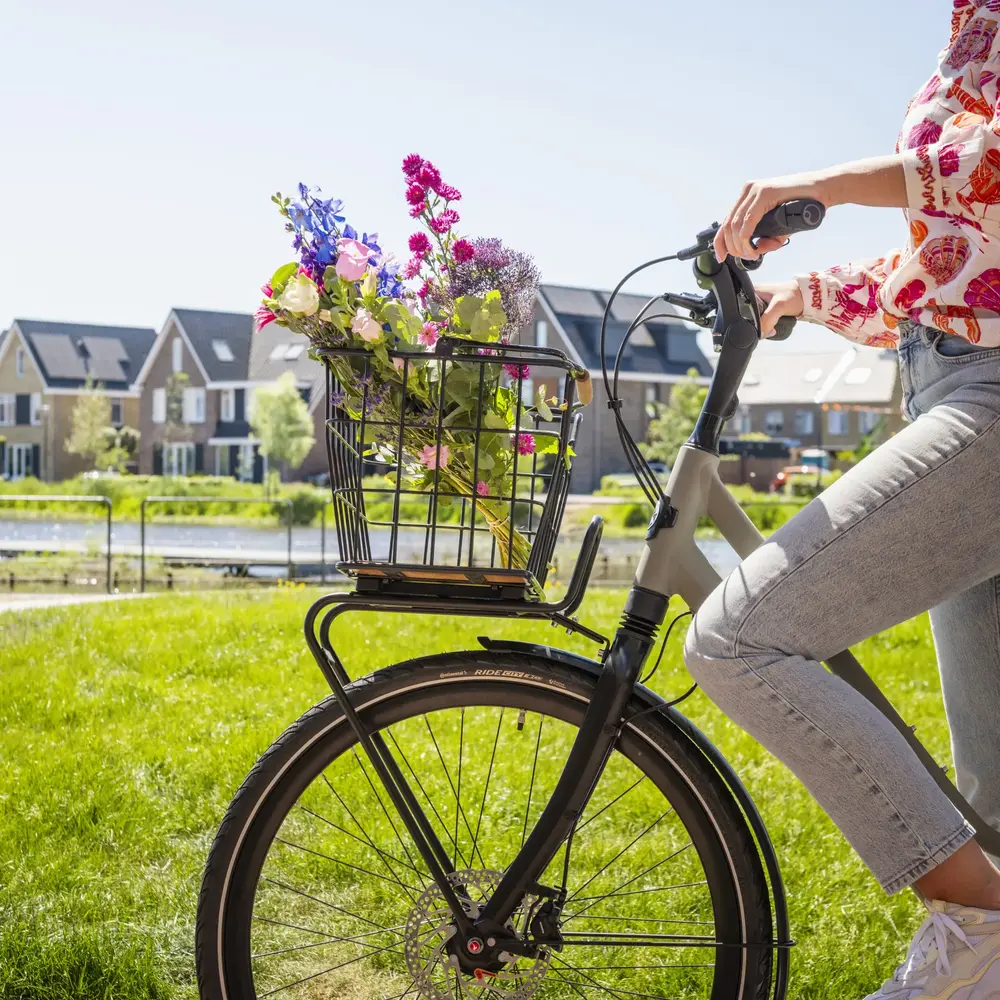 Steco Steco Voordrager MIK Mat Zwart Voor bevestiging van MIK manden