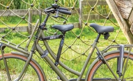 Wat zijn de verschillen tussen Model 3 en Jantje en zijn Kornuiten Buiszadels