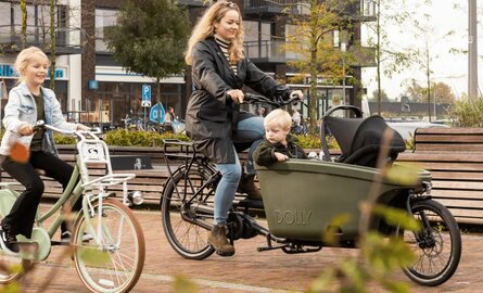 Past een Steco Mini Mee op een Dolly bakfiets?