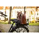 Steco Bagagedragerverbreder Krat-Mee 15 kg Mat Zwart Inclusief Bagagespin Steco Bagagedragerverbreder Krat-Mee 15 kg Mat Zwart Inclusief Bagagespin