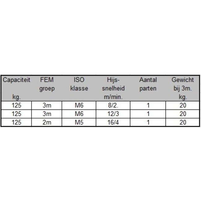 SWF Elektrische kettingtakels 125kg.