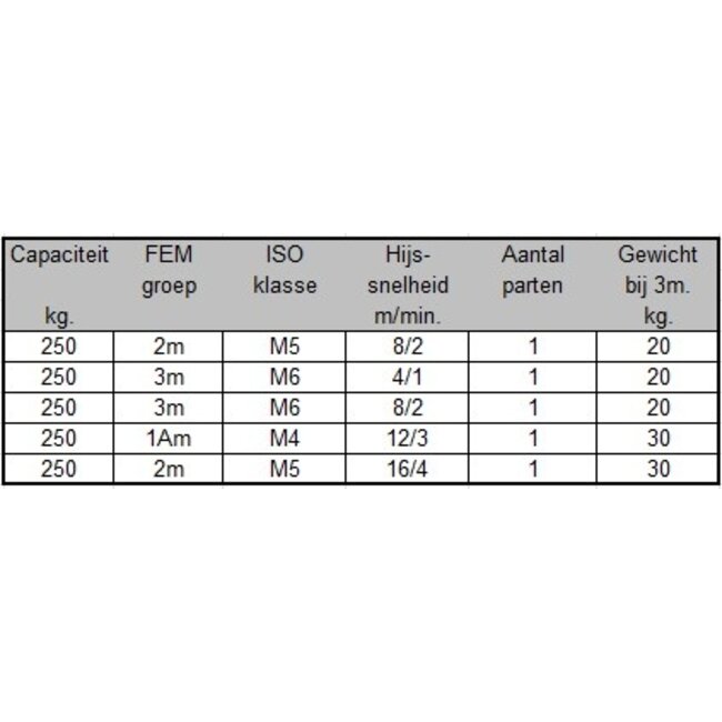 SWF Elektrische kettingtakels 250kg.