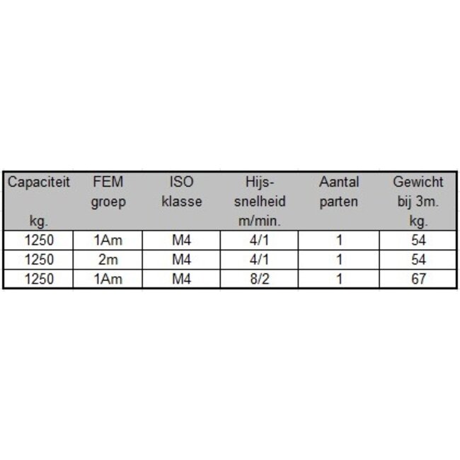 SWF Elektrische kettingtakels 1250kg.
