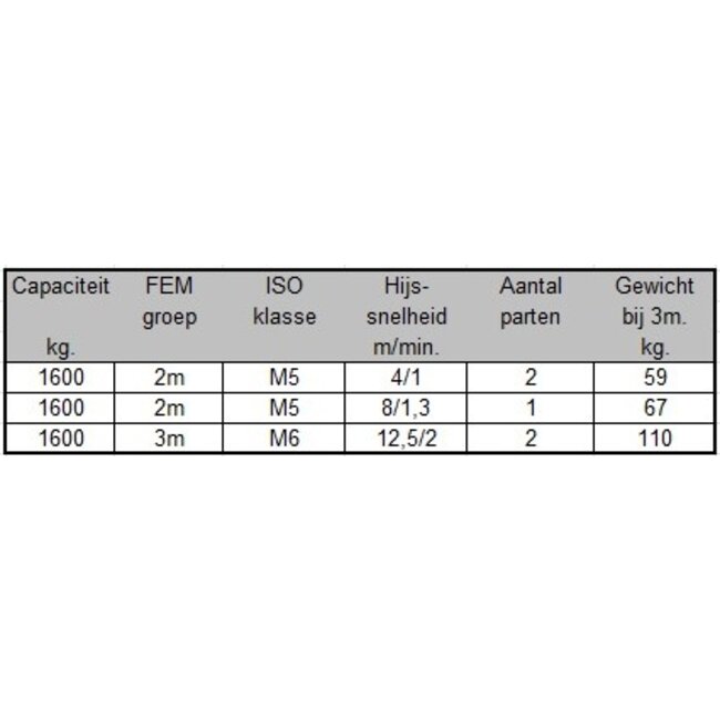 SWF Elektrische kettingtakels 1600kg.
