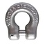 Cromox Omega Link RVS Grade60