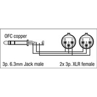 FL37 verloopkabel 1x Stereo jack naar 2x XLR female 150cm