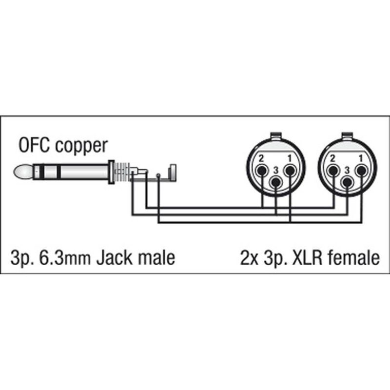FL37 verloopkabel 1x Stereo jack naar 2x XLR female 150cm