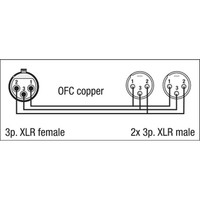 FL39 verloopkabel 1x XLR female naar 2x XLR male 150cm