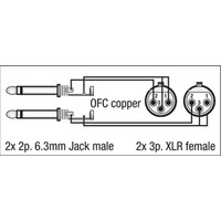 DAP FL43 verloopkabel 2x XLR female naar 2x Jack 150cm FL43 verloopkabel 2x XLR female naar 2x Jack 150cm