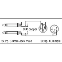 DAP FL44 verloopkabel 2x XLR male naar 2x Jack 3m FL44 verloopkabel 2x XLR male naar 2x Jack 3m