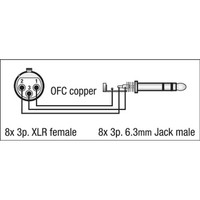 DAP FL67 Multikabel 8x XLR female naar 8x Stereo jack 6m FL67 Multikabel 8x XLR female naar 8x Stereo jack 6m