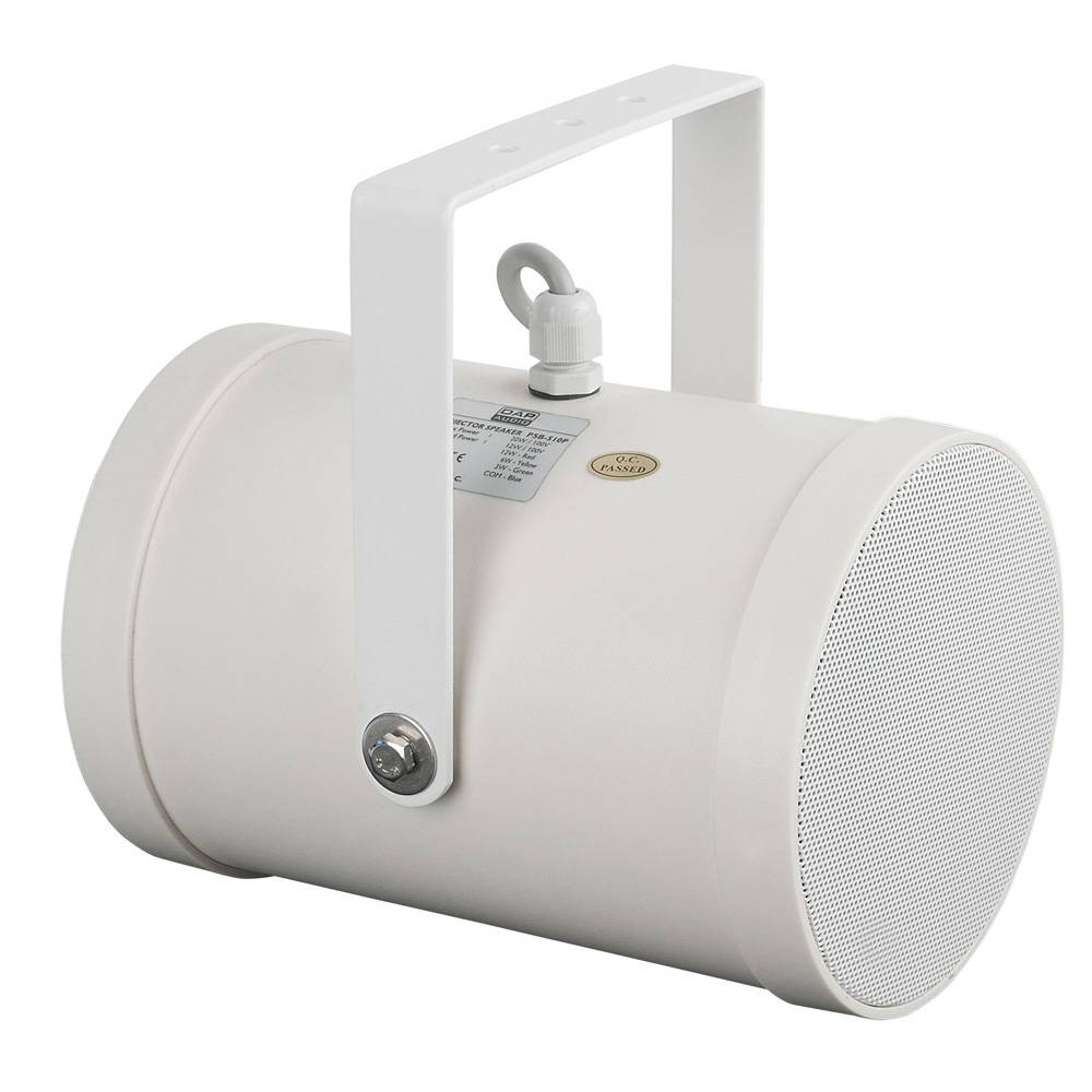 DAP PSB-510P 10 Watt 5 inch bidirectionele 100V luidspreker afbeelding