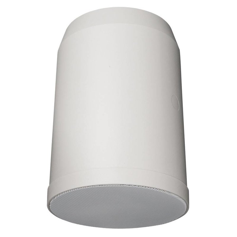 HS-620P Hangende 100V ABS luidspreker 20W 6 inch