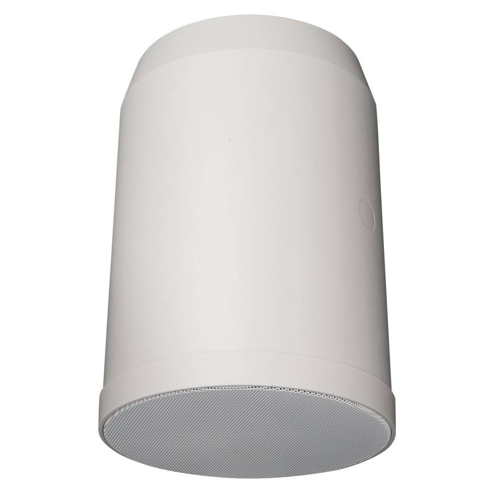 DAP HS-620P Hangende 100V ABS luidspreker 20W 6 inch afbeelding
