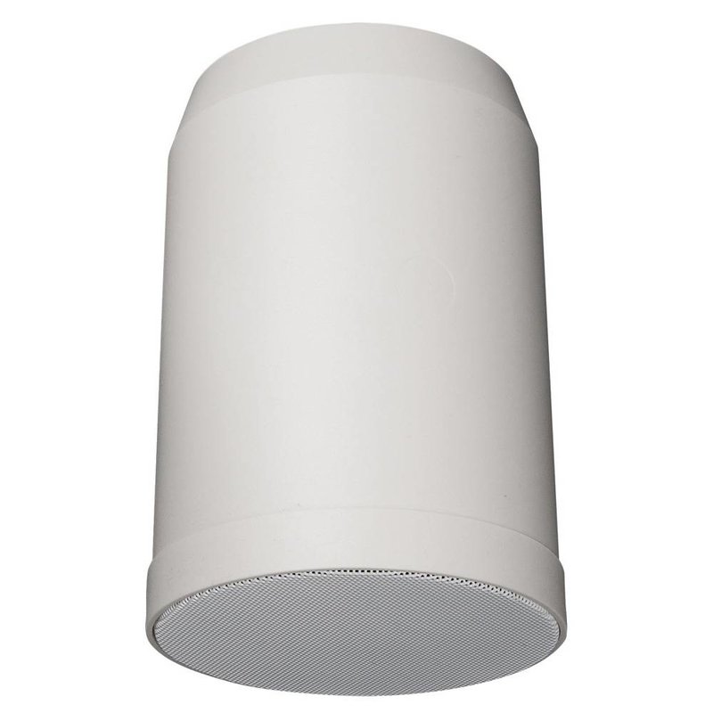 HS-510P Hangende 100V ABS luidspreker 10W 5 inch