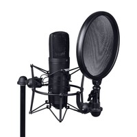 DSM 400 Shockmount met popfilter