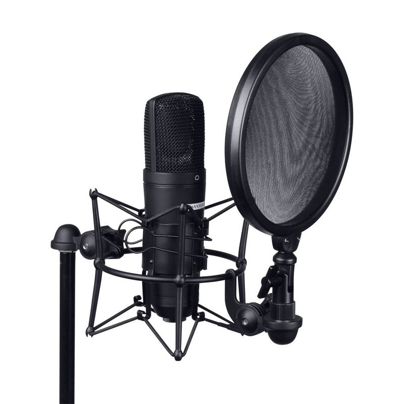 DSM 400 Shockmount met popfilter